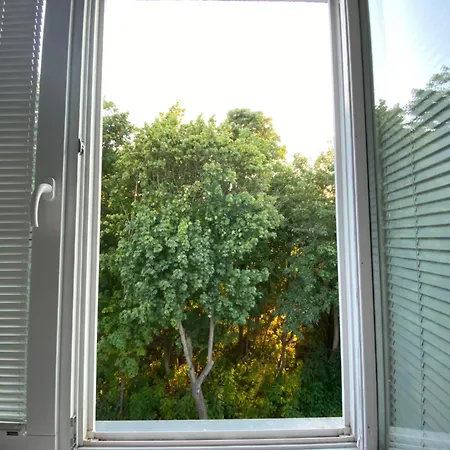 Przy Maksimie Orłowo Gdynia