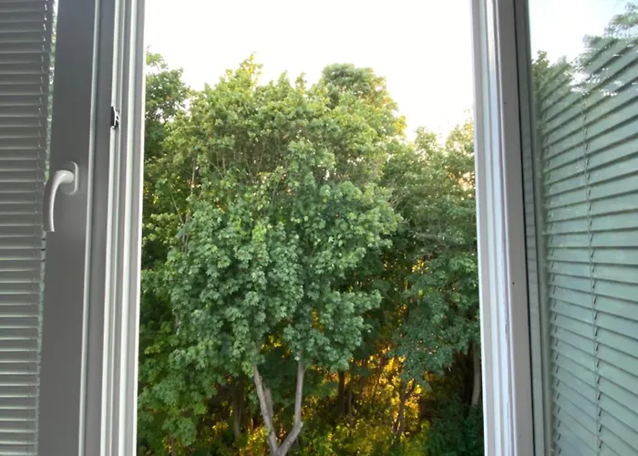 Przy Maksimie Orlowo Gdyně